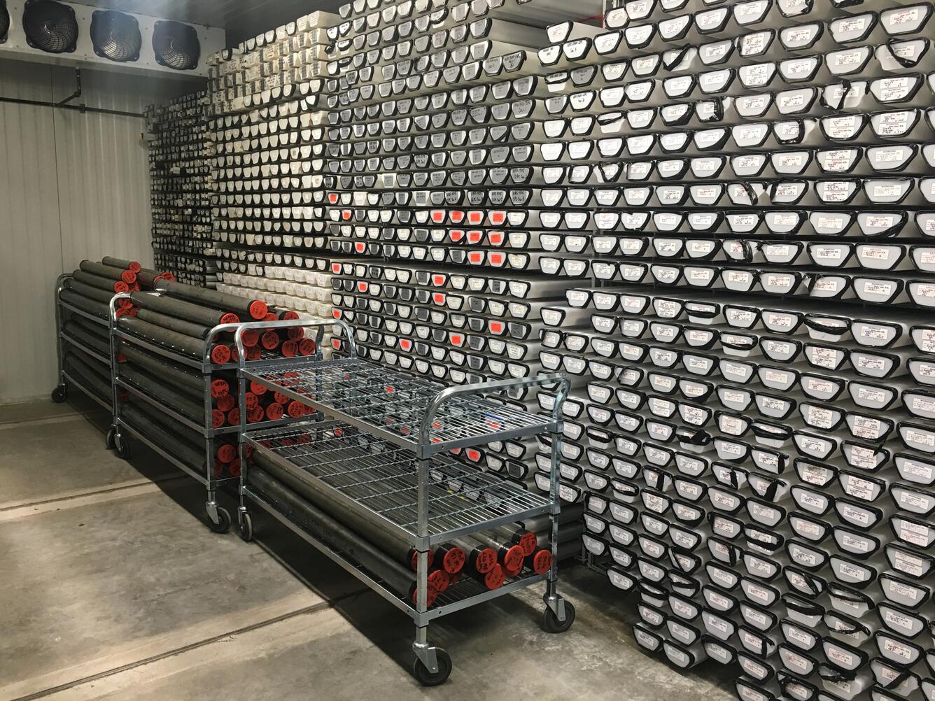 NGGDPP core samples